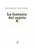 La fantasía del sujeto X