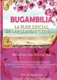 BUGAMBILIA, LA FLOR OFICIAL DE LAS LLAMAS GEMELAS